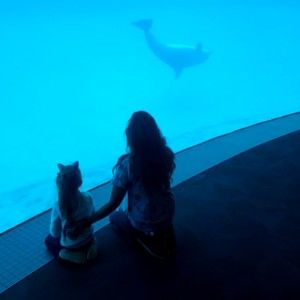 Meet your Posher, Shivaun